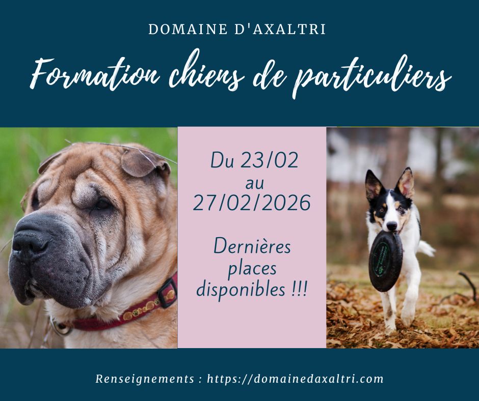 Formation chiens Domaine D'Axaltri
