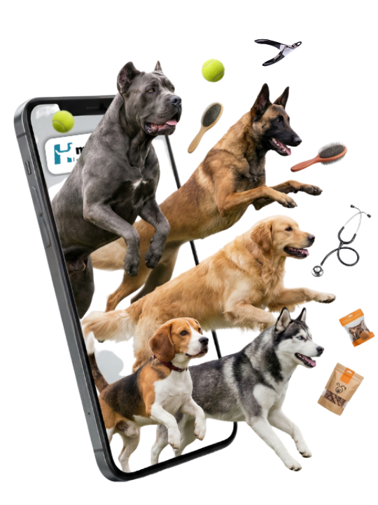 Aperçu de la plateforme MyHub.dog pour les services canins